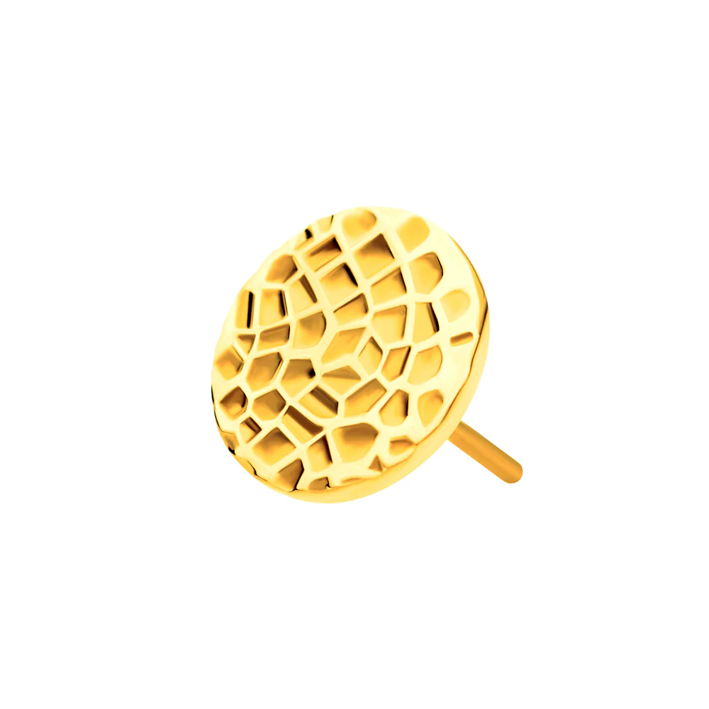 Miniatyrbild 1